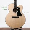 Gibson G-200 EC