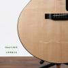 Gibson G-200 EC