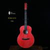 LeeGuitars ʮ Ⱦ