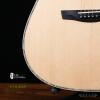 ۳ Lee Guitars ؼͲ 2021