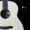 Lee Guitars  ޺ľ VSW 00221