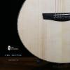 ۳ Lee Guitars ؼ 10֧