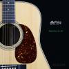Martin D-28