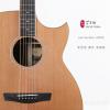 Lee Guitars J40CE ݷ