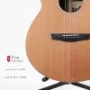 Lee Guitars J40CE ݷ