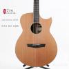 Lee Guitars J40CE ݷ