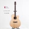 Lee Guitars S30C