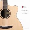 Lee Guitars S30C