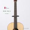 Lee Guitars  DJ