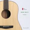 Lee Guitars  DJ