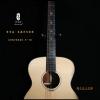 Lee Guitars ؼ 10֧ 5