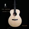 Lee Guitars ؼ 10֧ 5