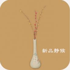 Gibson Hummingbird Red Spruce