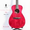 Lee Guitars PSR 200222 е 