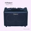 Roland AC-33 Դ