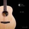 Lee Guitars M30 ʼ