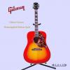 Gibson Custom Hummingbird Edition Quilt