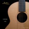 Lowden S-25
