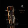 Lee Guitars J40E ݷ