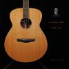 Lee Guitars J40E ݷ