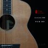 Lee Guitars S40E ݷ