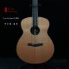 Lee Guitars S40E ݷ