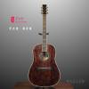Lee Guitars ؼ Ͳ 2024
