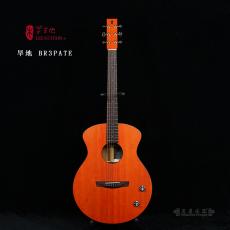 Lee Guitars  BR32PATE ԰