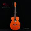 Lee Guitars  BR32PATE ԰