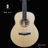 Lee Guitars M3SA ȫʼ