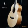 Lee Guitars M3SA ȫʼ