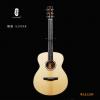 Lee Guitars SJ3SAE ȫʼ