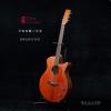 Lee Guitars  BR32PATCE ȱ