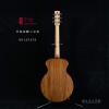 Lee Guitars  ϴBR12PATE Բ