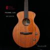 Lee Guitars  ϴBR12PATE Բ