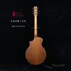 Lee Guitars  ϴBR12PATCE ȱ
