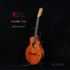 Lee Guitars  ϴBR12PATCE ȱ