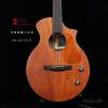 Lee Guitars  ϴBR12PATCE ȱ