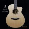 Lee Guitars SJ3SACE ȫʼ
